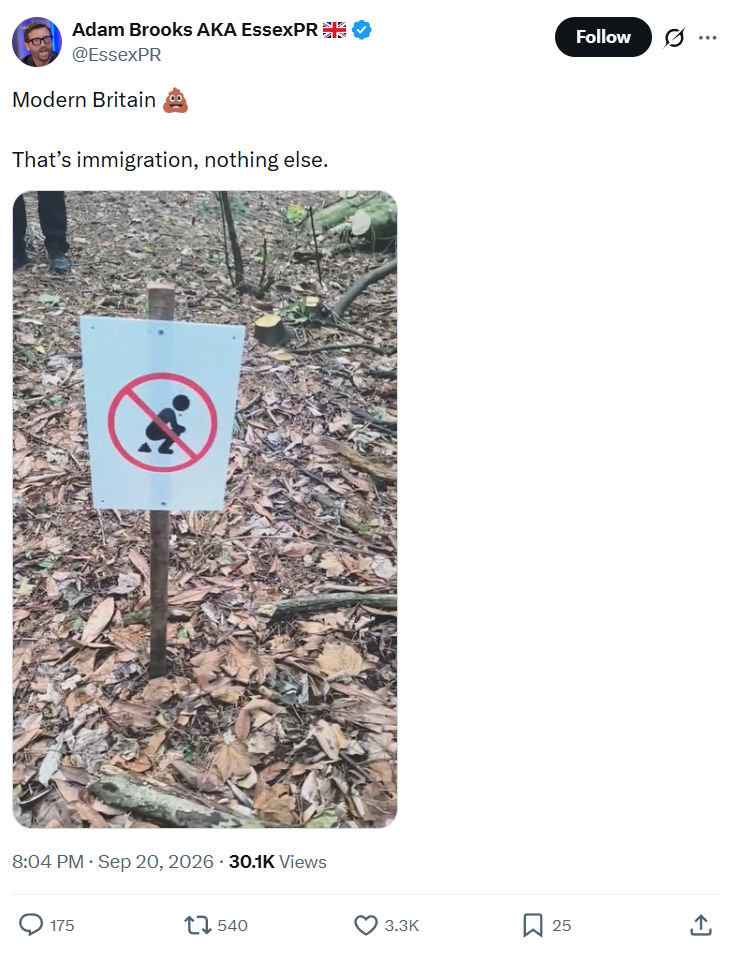 Adam Brooks: Modern Britain...