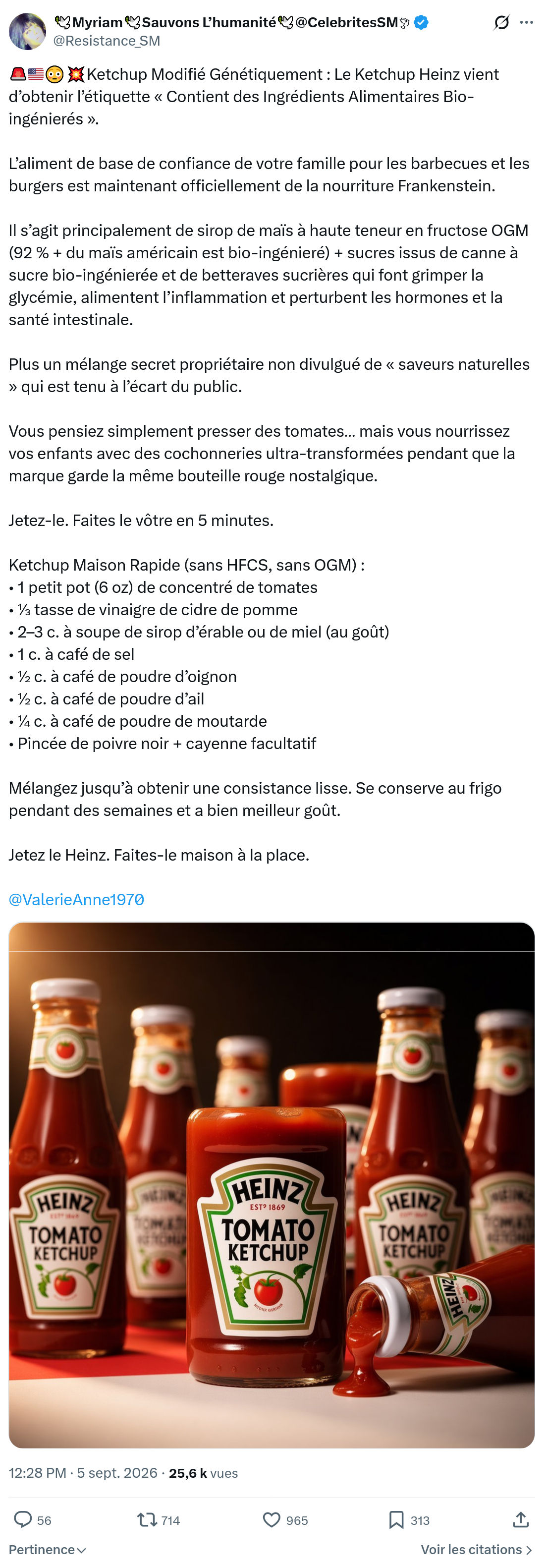 Myriam: Ketchup Modifié Génétiquement...