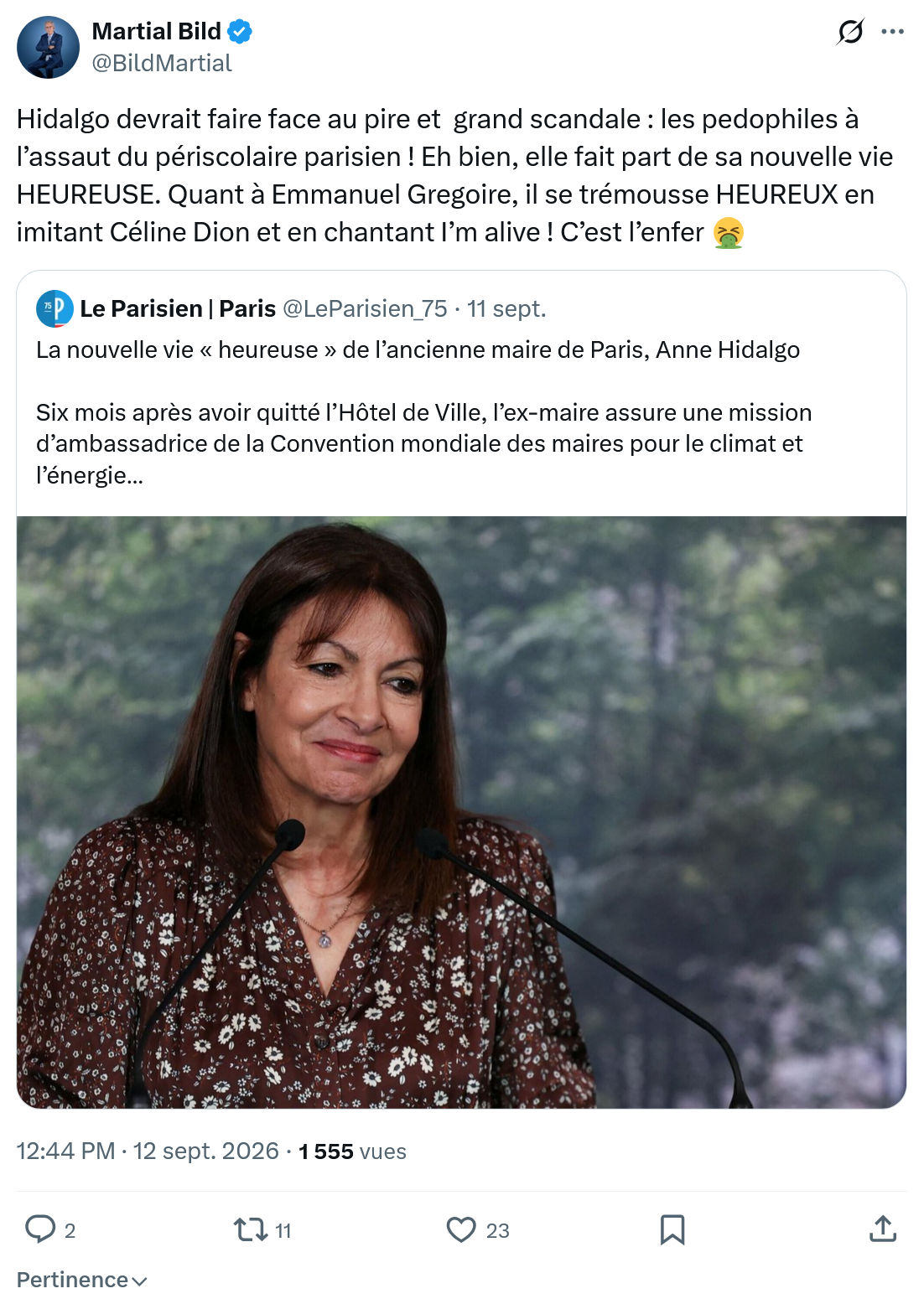 Martial Bild: Hidalgo devrait faire face...
