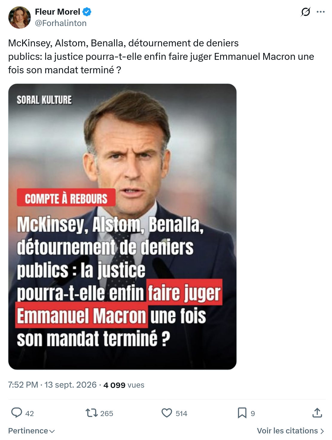 Fleur Morel: McKinsey, Alstom, Benalla...