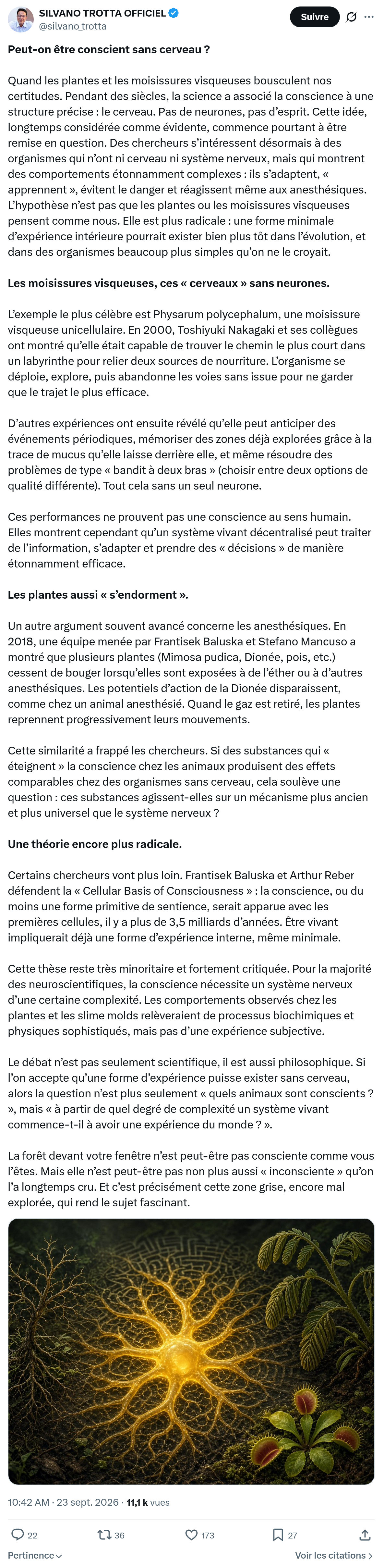 Silvano Trotta: Peut-on être conscient sans cerveau...
