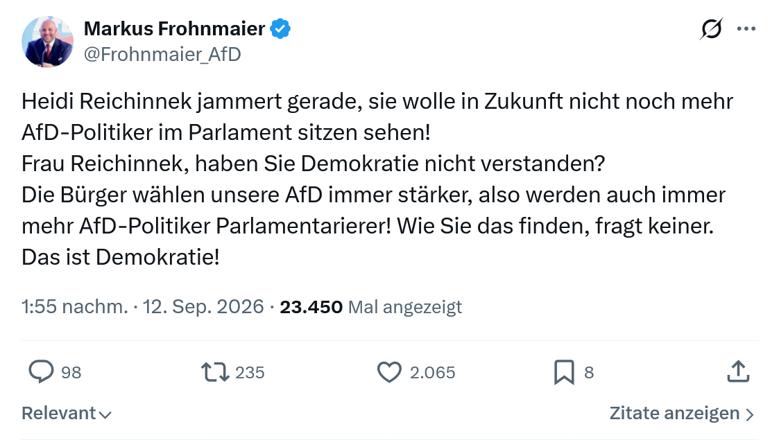 Markus Frohnmaier: Heidi Reichinnek jammert gerade...
