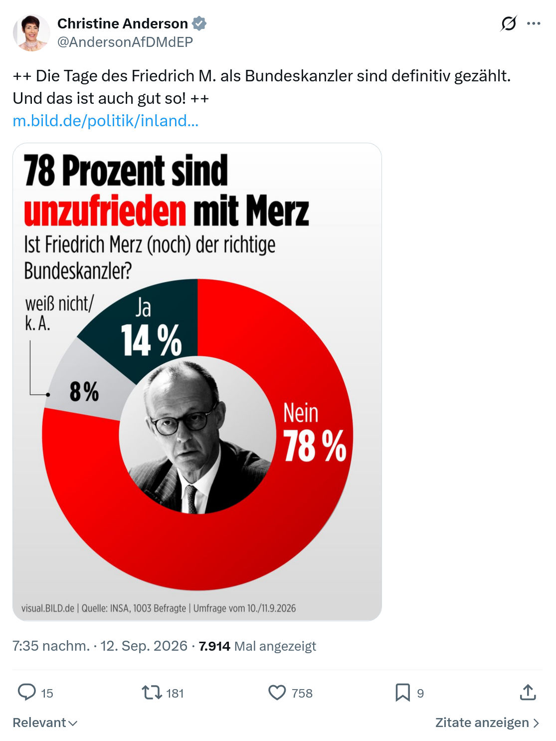 Christine Anderson: Die Tage des Friedrich M. als...