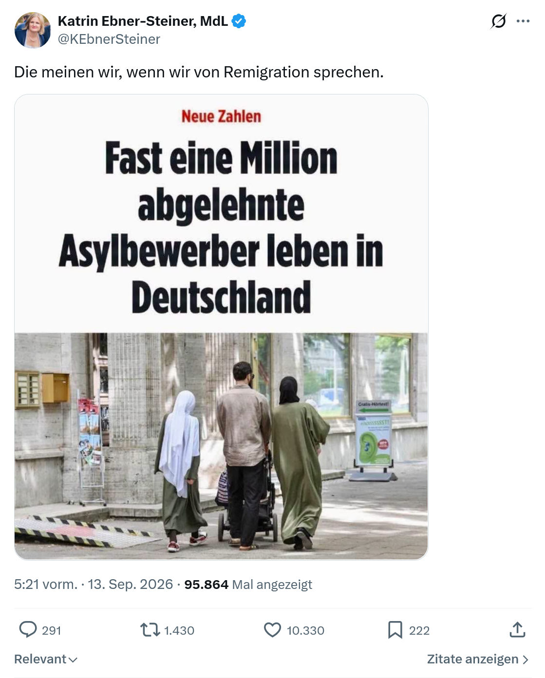 Katrin Ebner-Steiner: Die meinen wir...