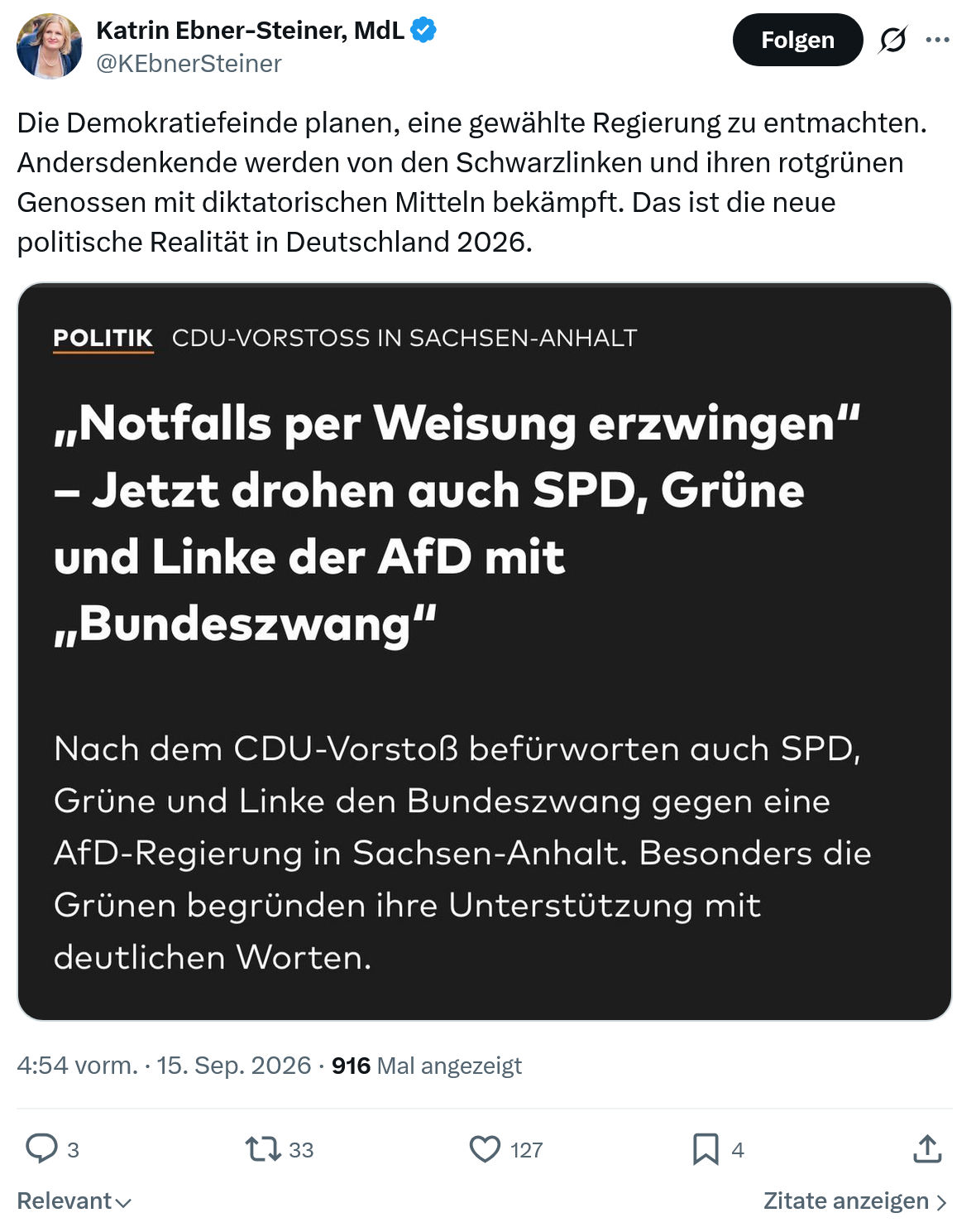 Katrin Ebner-Steiner: Die Demokratiefeinde planen...
