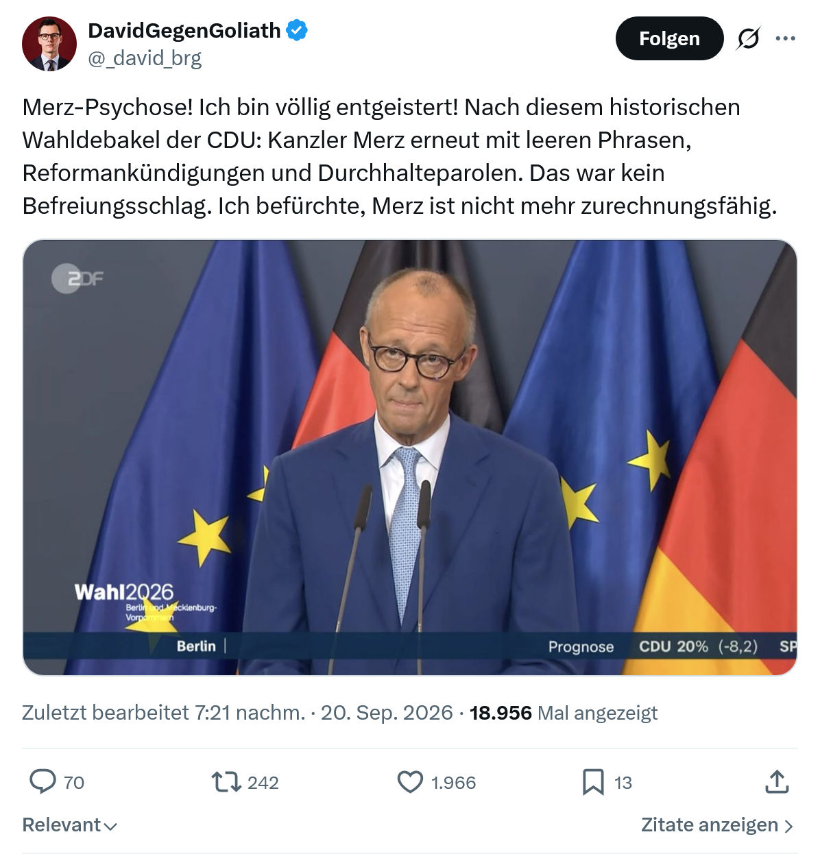David Gegen Goliath: Merz-Psychose...