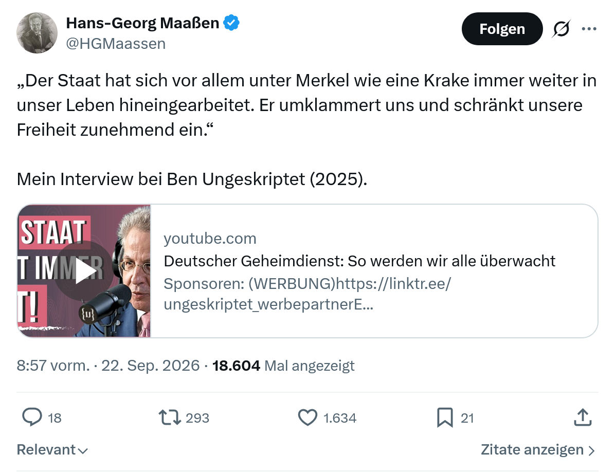 Hans-Georg Maaßen: Der Staat hat sich vor allem...