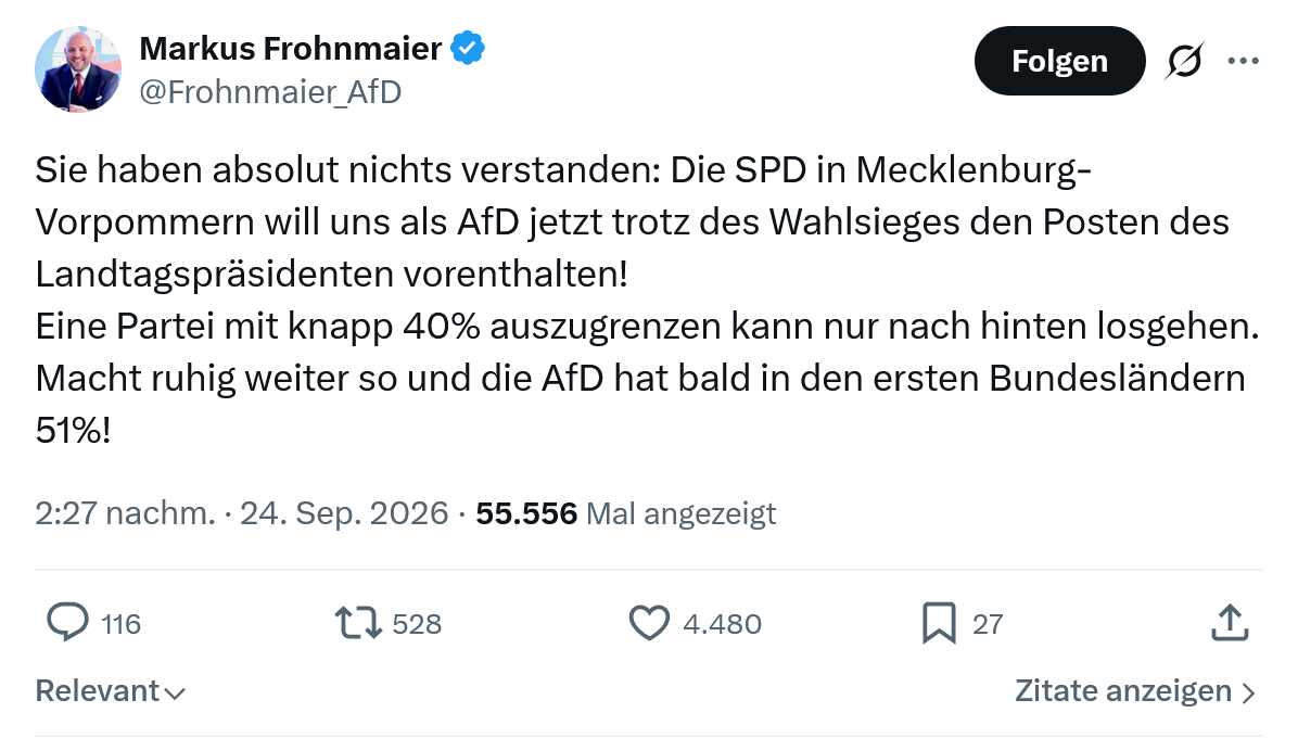 Markus Frohnmaier: Sie haben absolut nichts verstanden...