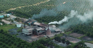 Palm Oil Refineries