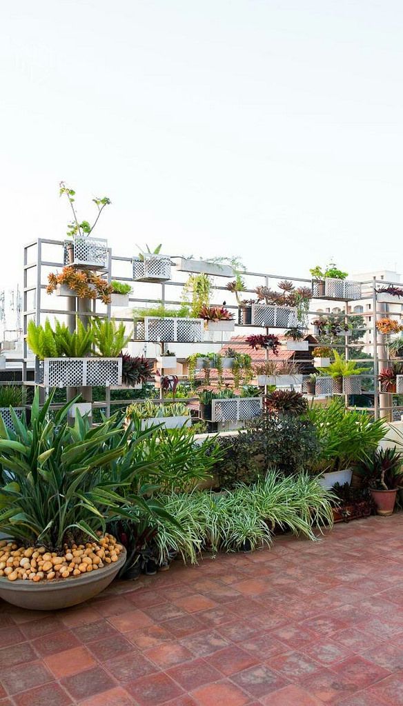 Terrace Garden - Image 1
