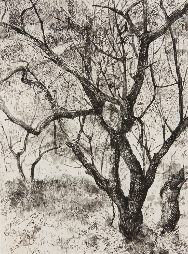An image from the RSA collection.