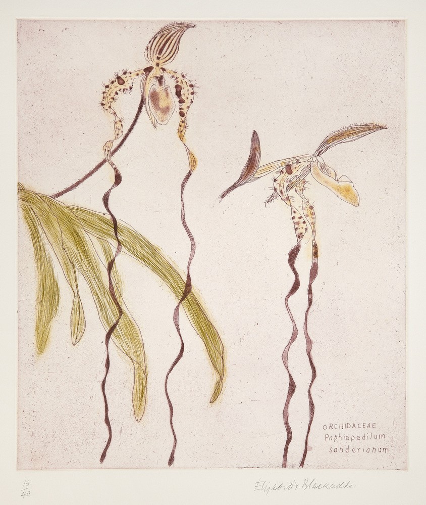 An image from the RSA collection.