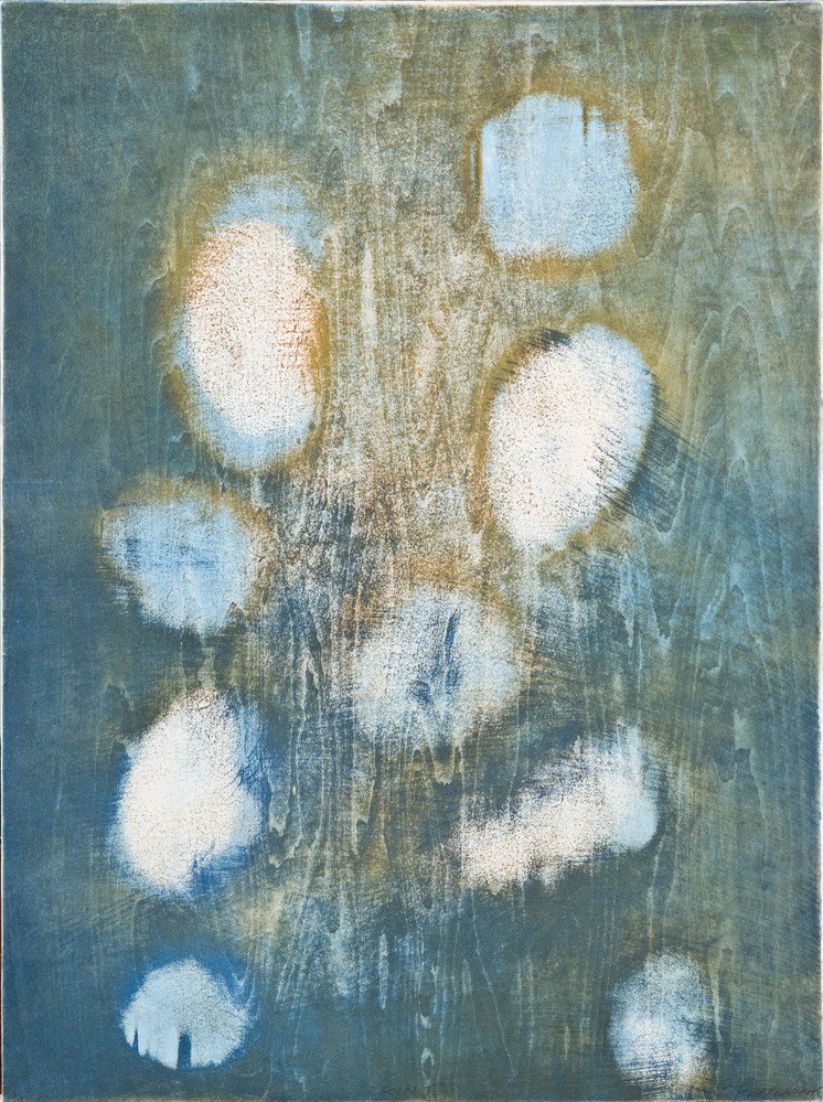 An image from the RSA collection.