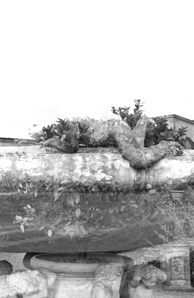 An image from the RSA collection.