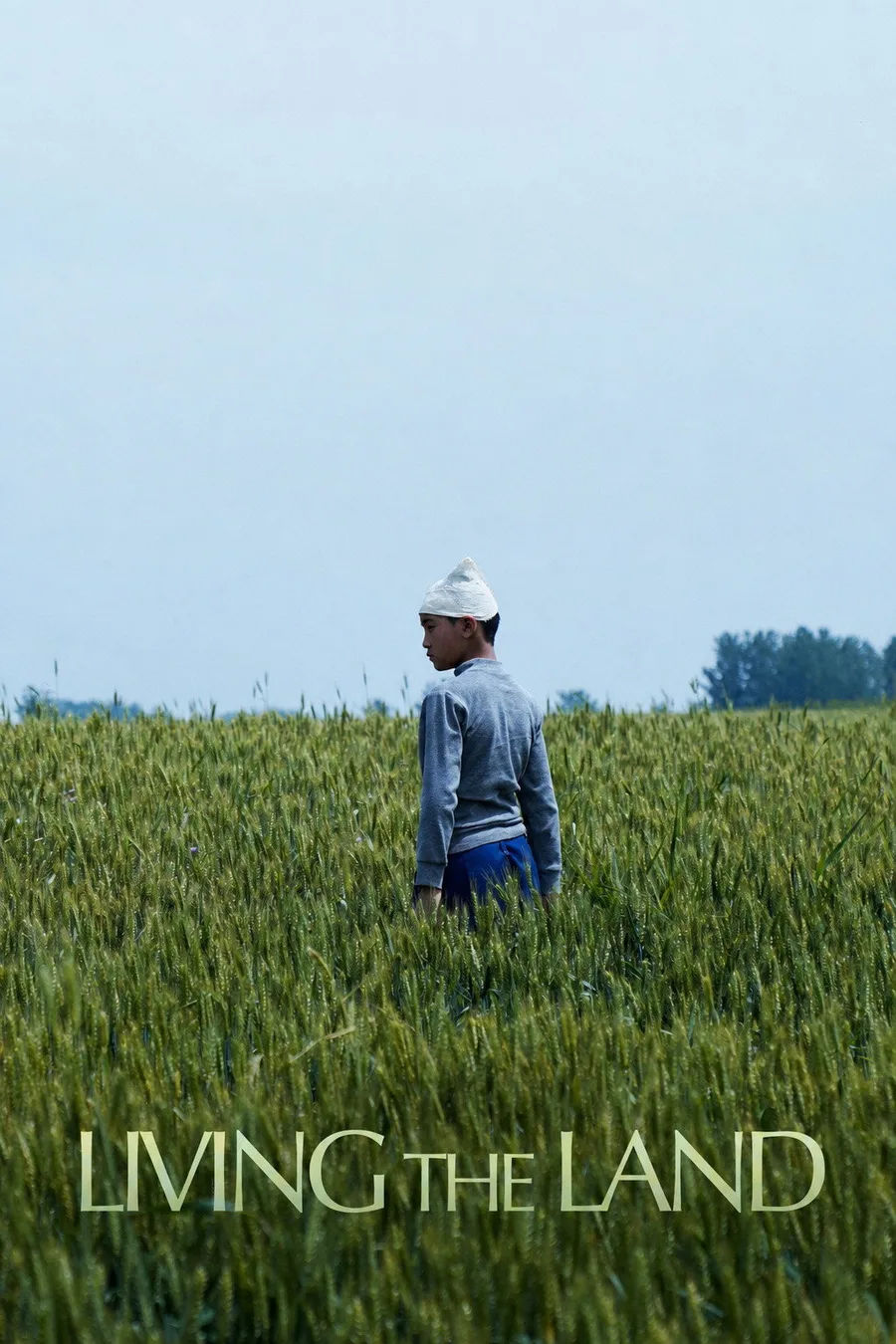 Póster oficial de la película Living the Land (Huo Meng, 2025)