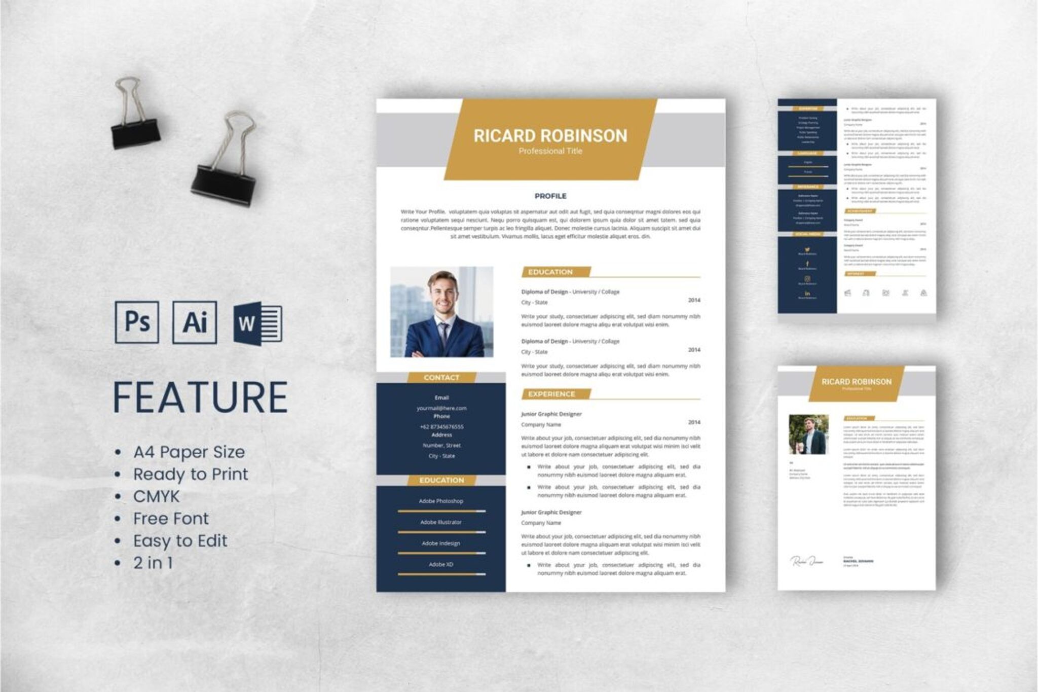 CV Resume – Professional Title 3