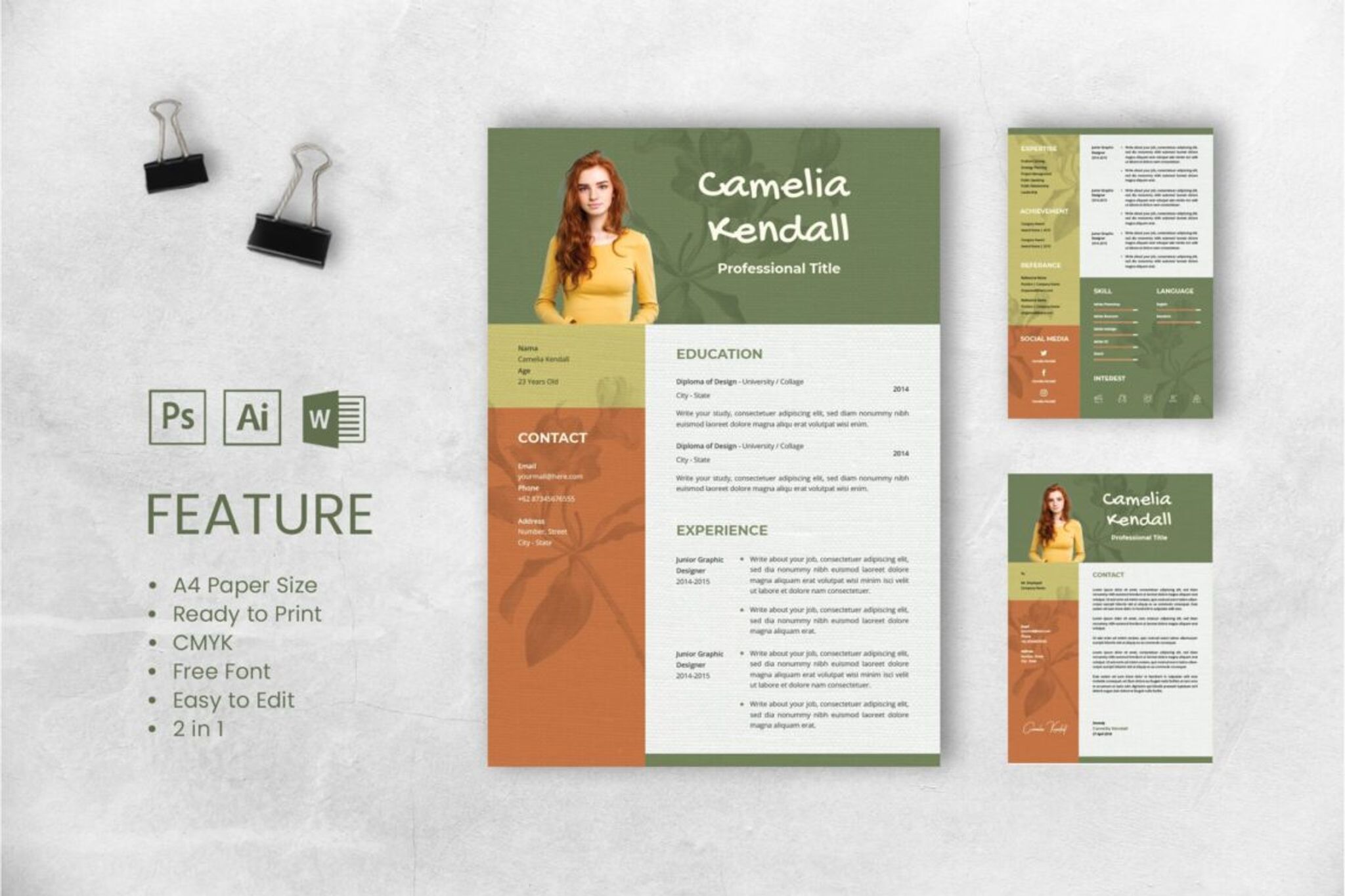 CV Resume – Professional Title 4