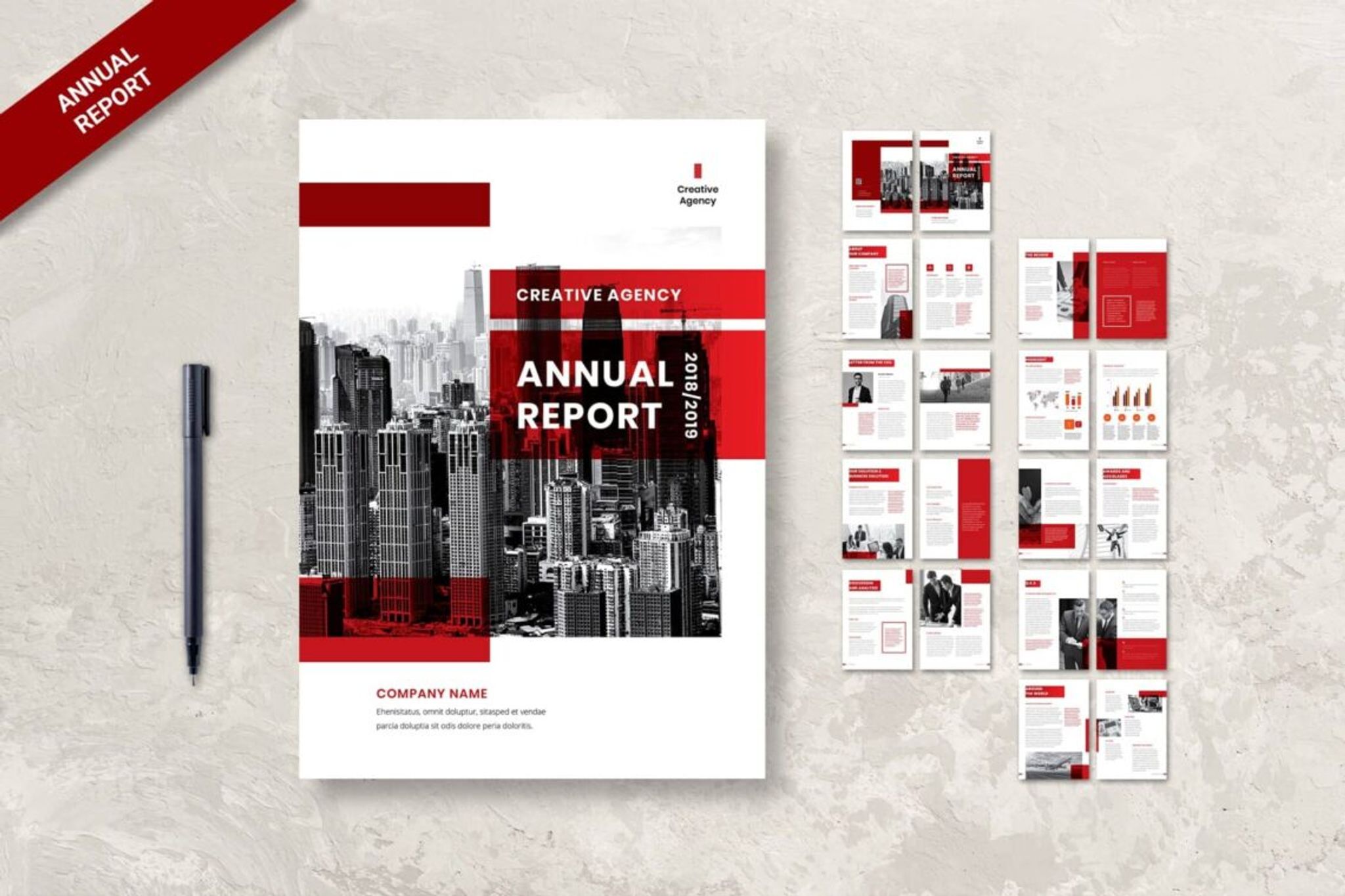 Company Introduction Annual Reeport