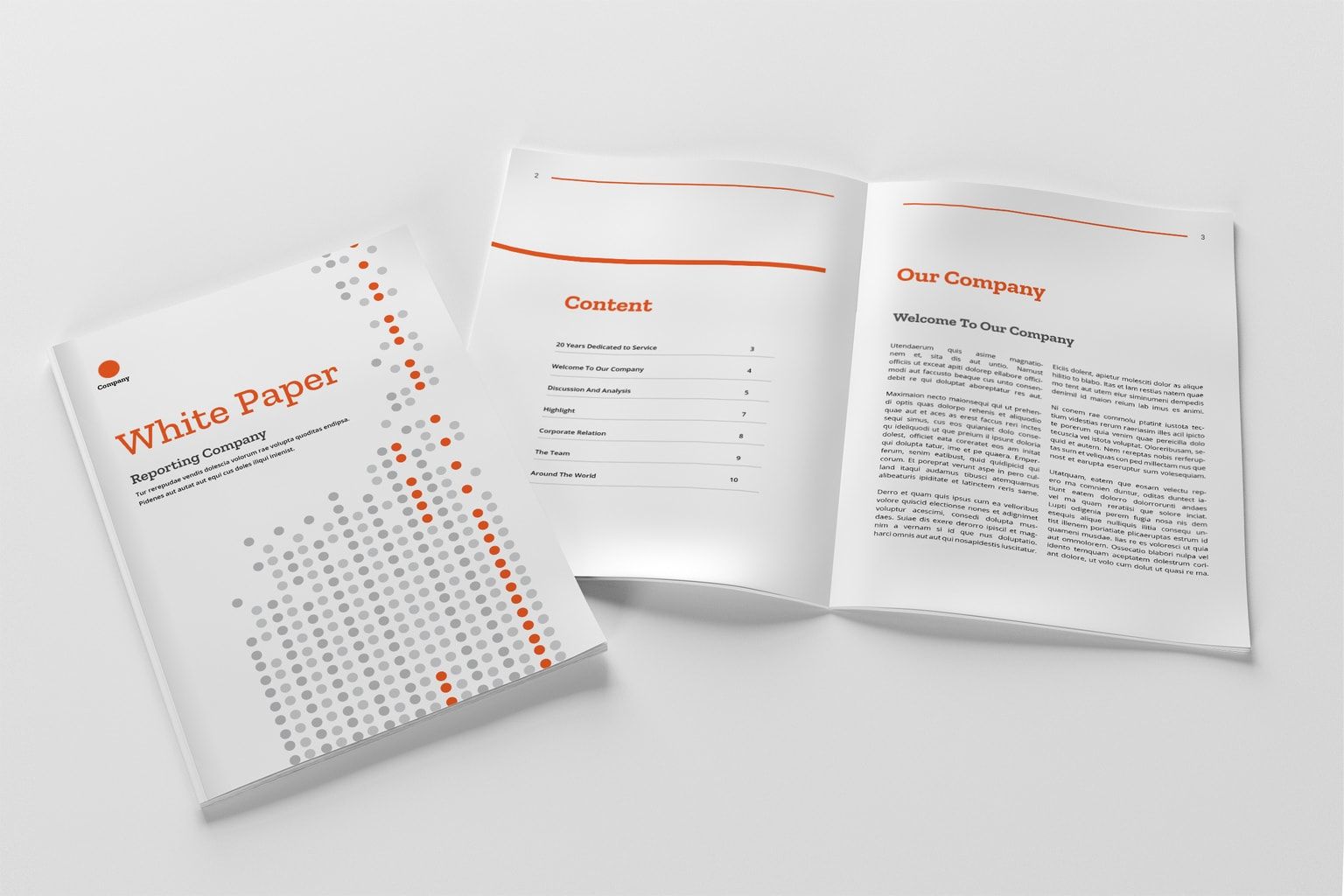 white paper example - Company Report