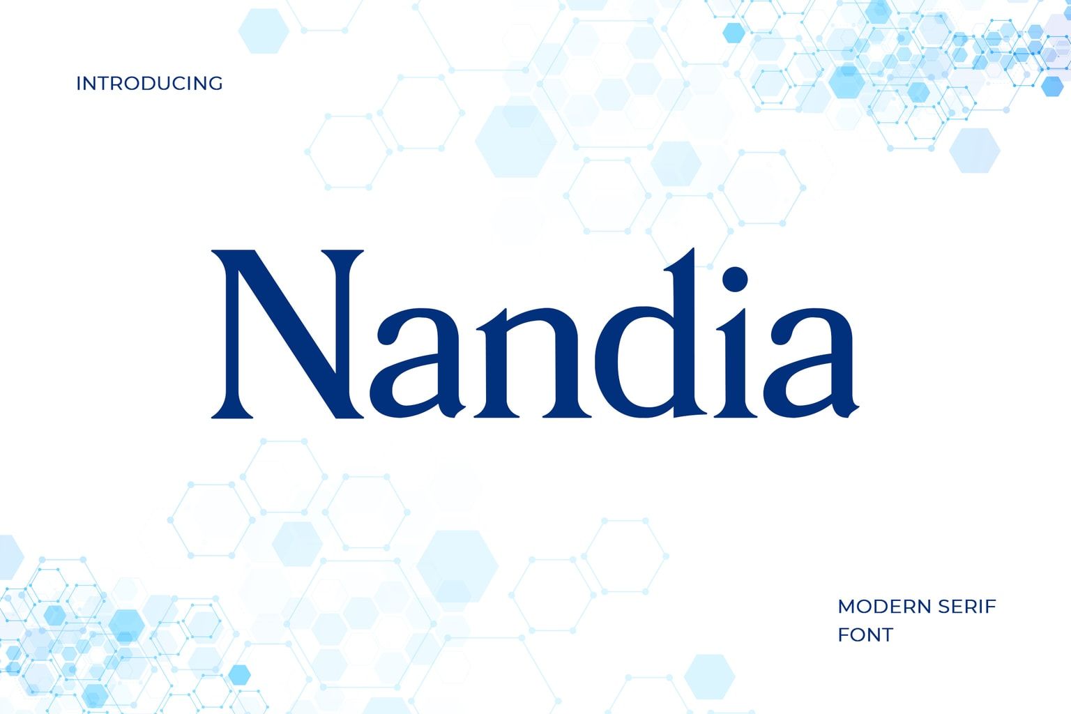logo font ideas - Nandia Modern Serif Font