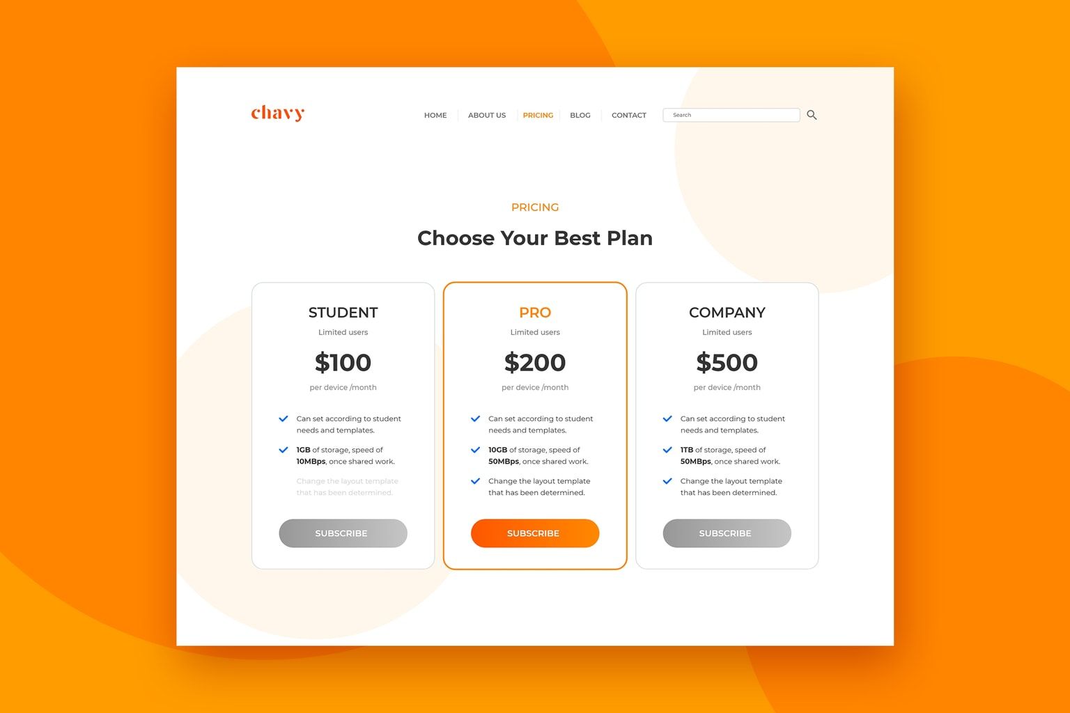 Professional Website Package Pricing Template