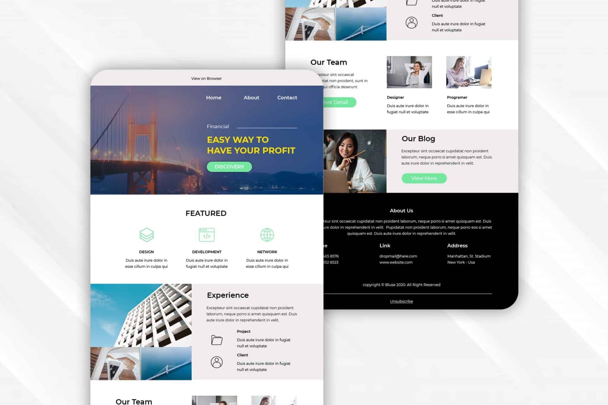 Financial Business – Email Newsletter