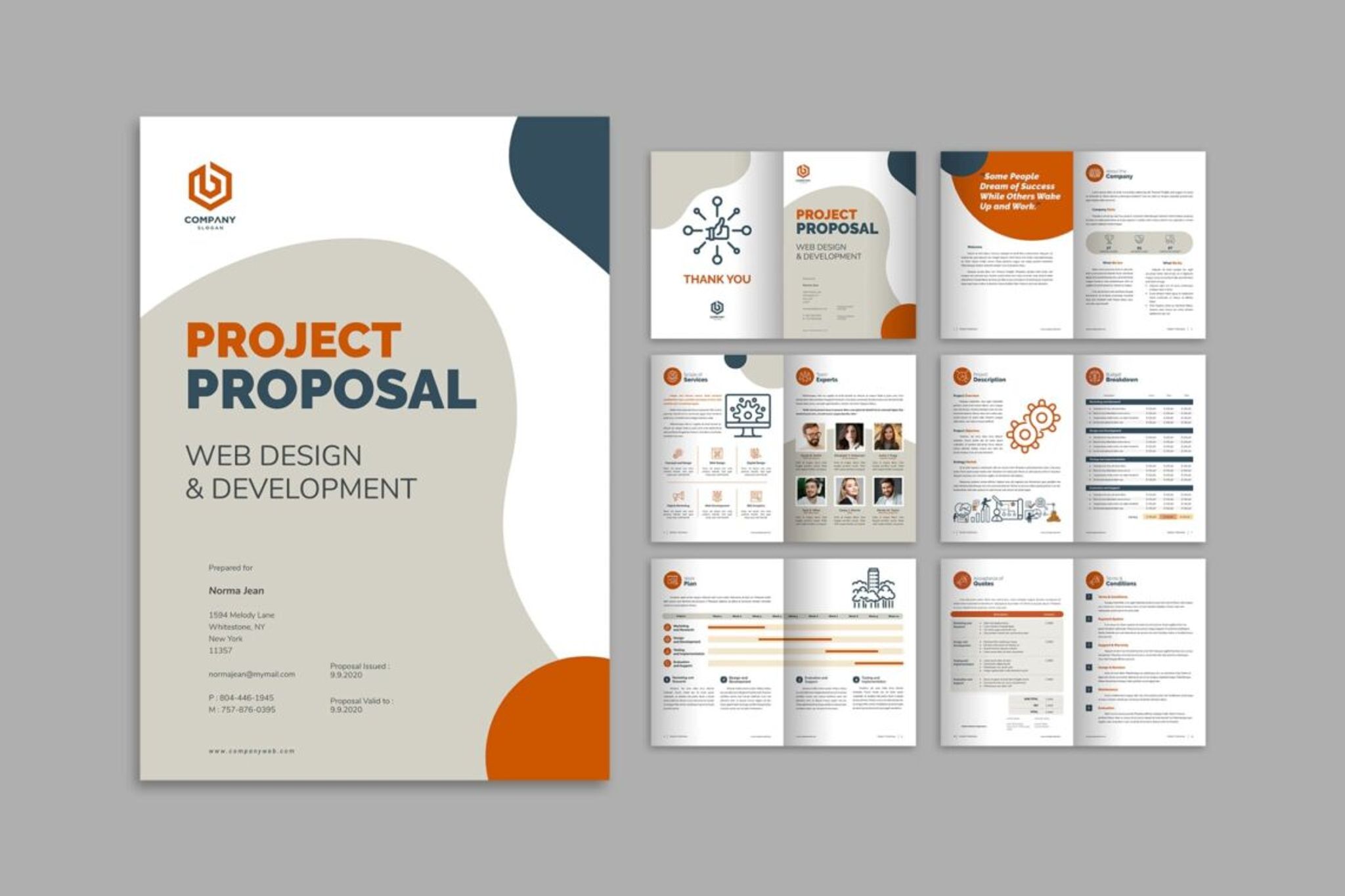 Proposal – IT Development