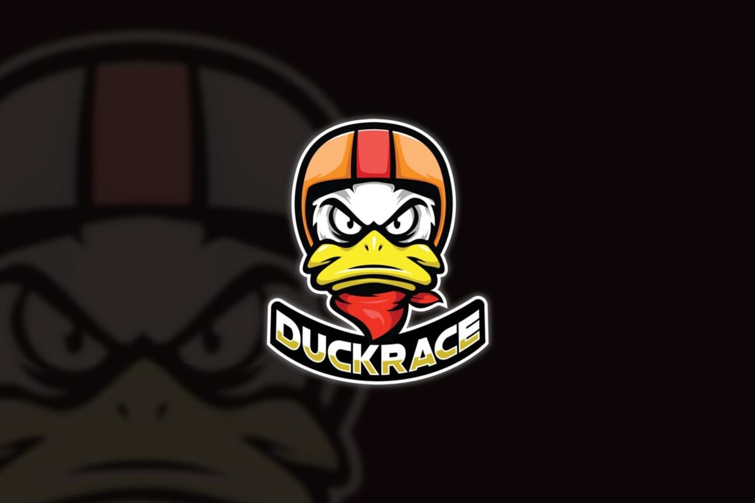 Esport Logo – Duck Race Team