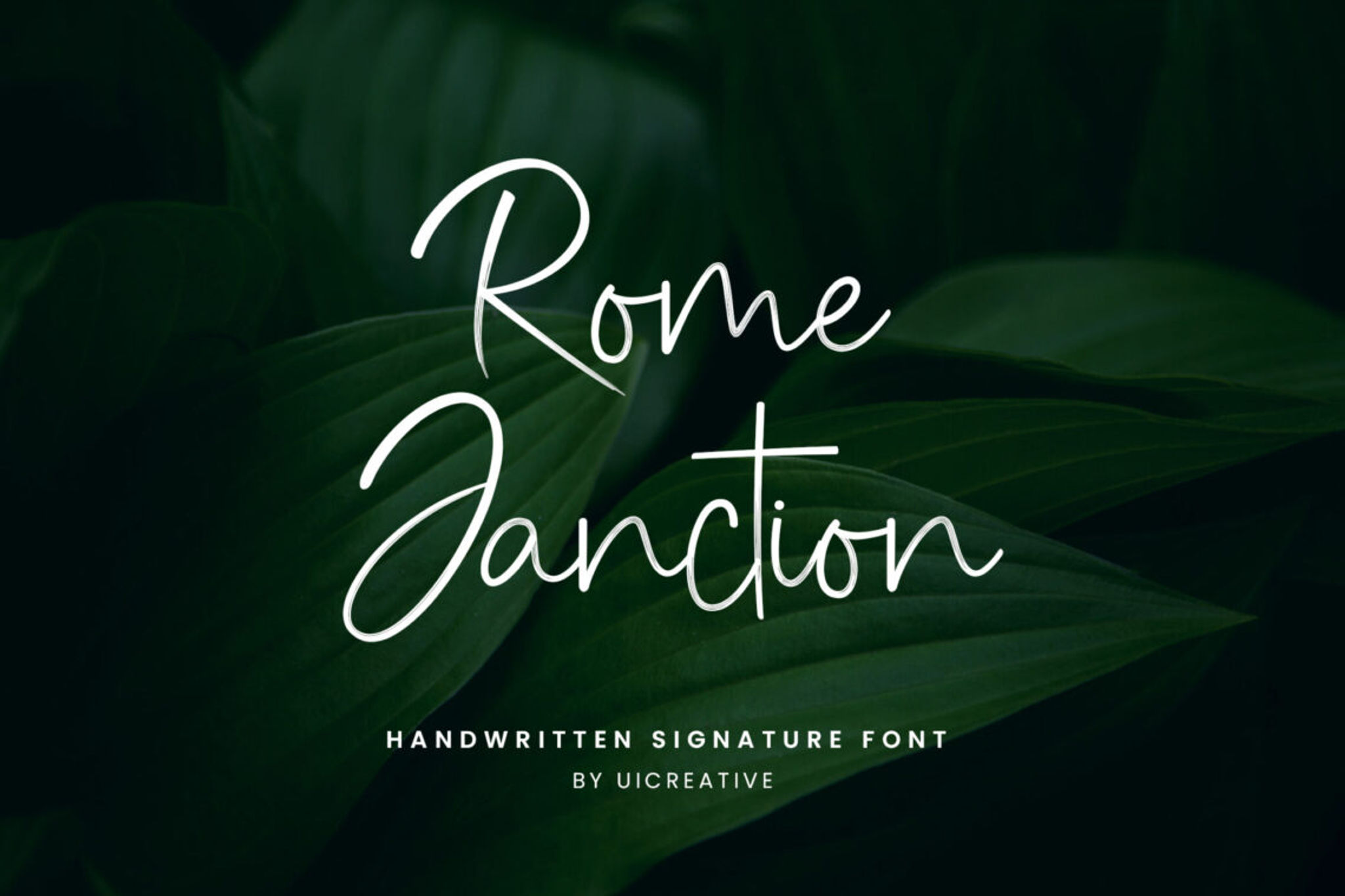 Rome Janction Handwritten Signature Font