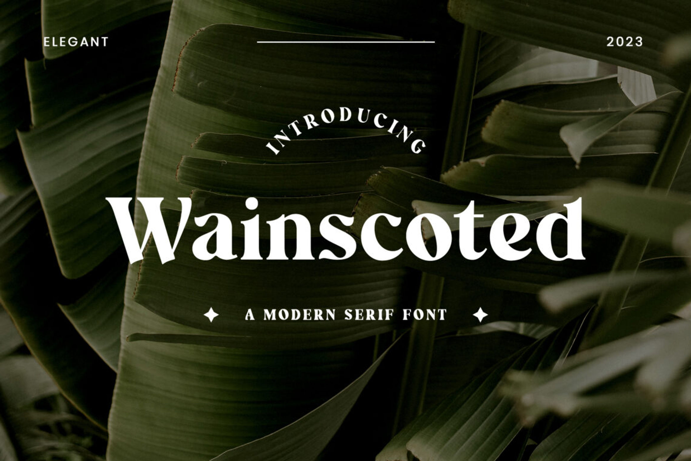 Wainscoted Modern Serif Font