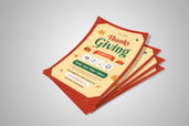 Preview1 Flyer 100