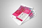 Preview1 Flyer 115