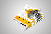 Preview1 Flyer 13
