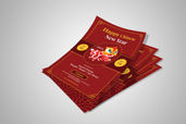 Preview1 Flyer 142