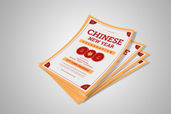 Preview1 Flyer 146