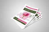 Preview1 Flyer 151