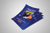 Preview1 Flyer 162