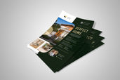 Preview1 Flyer 173