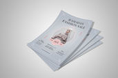 Preview1 Flyer 176