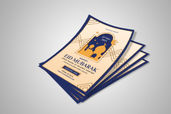 Preview1 Flyer 183