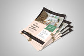 Preview1 Flyer 40