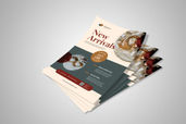 Preview1 Flyer 42