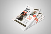 Preview1 Flyer 46