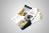 Preview1 Flyer 55