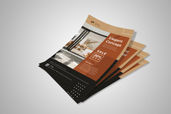 Preview1 Flyer 56