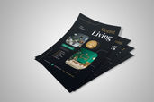 Preview1 Flyer 63