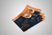 Preview1 Flyer 72