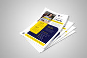 Preview1 Flyer 73
