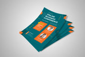 Preview1 Flyer 80