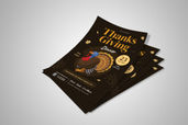 Preview1 Flyer 95